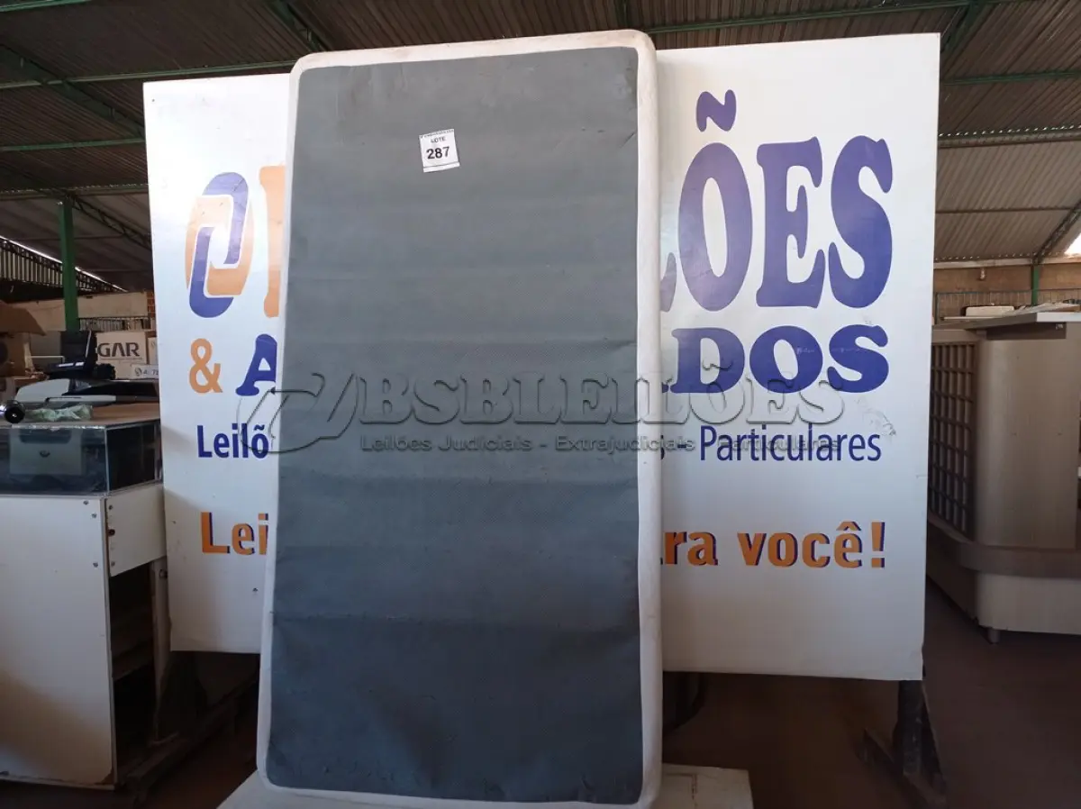 LOTE 287