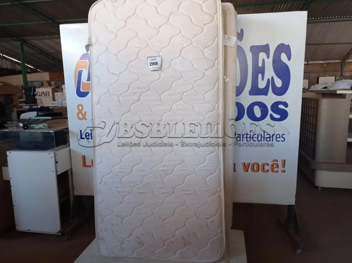 LOTE 288