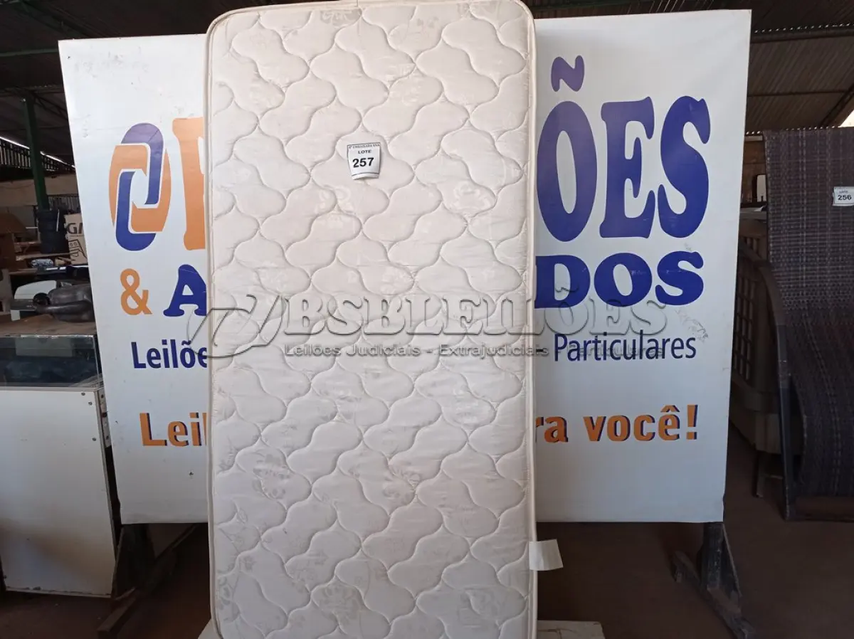 LOTE 257