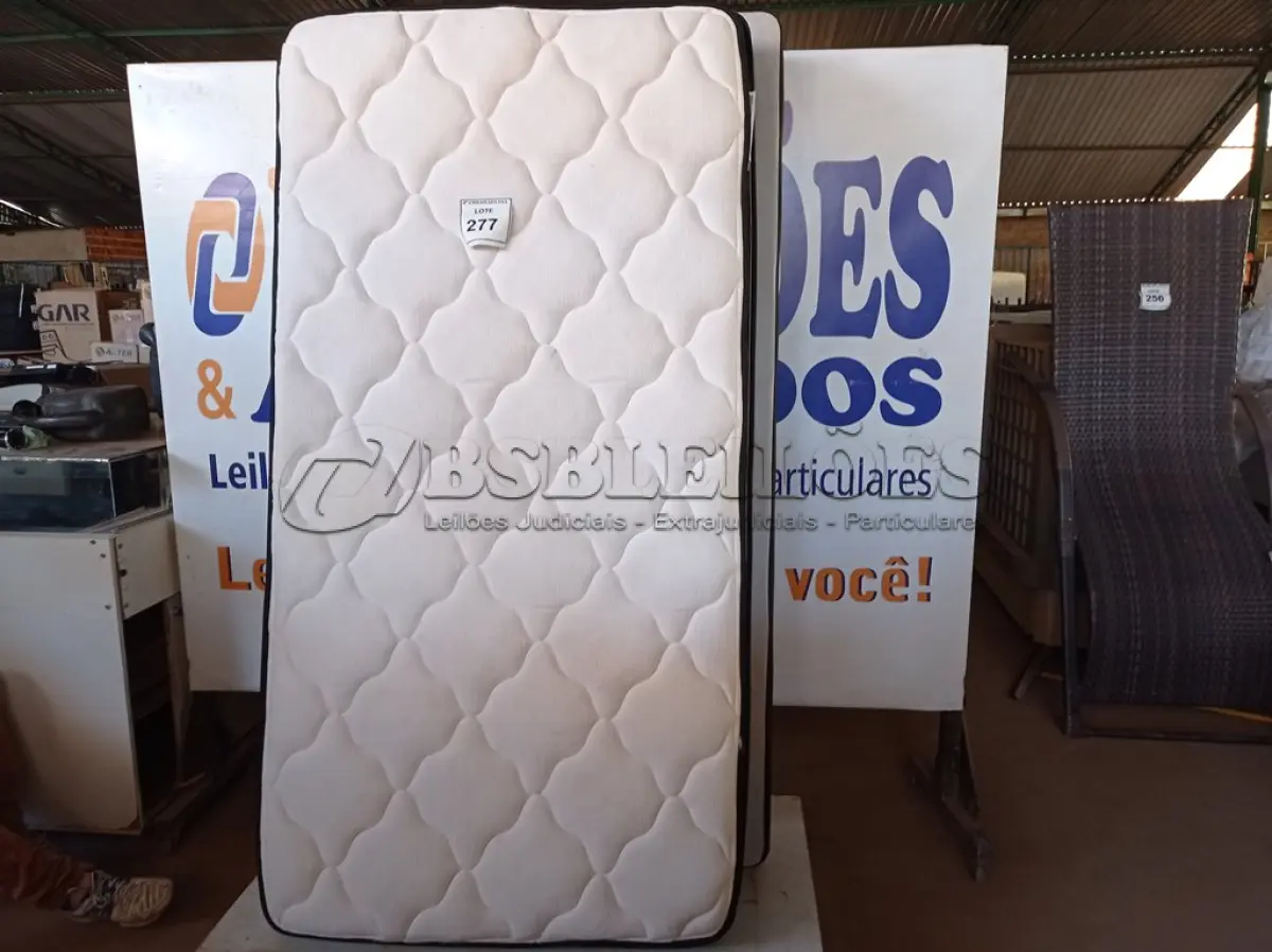 LOTE 277
