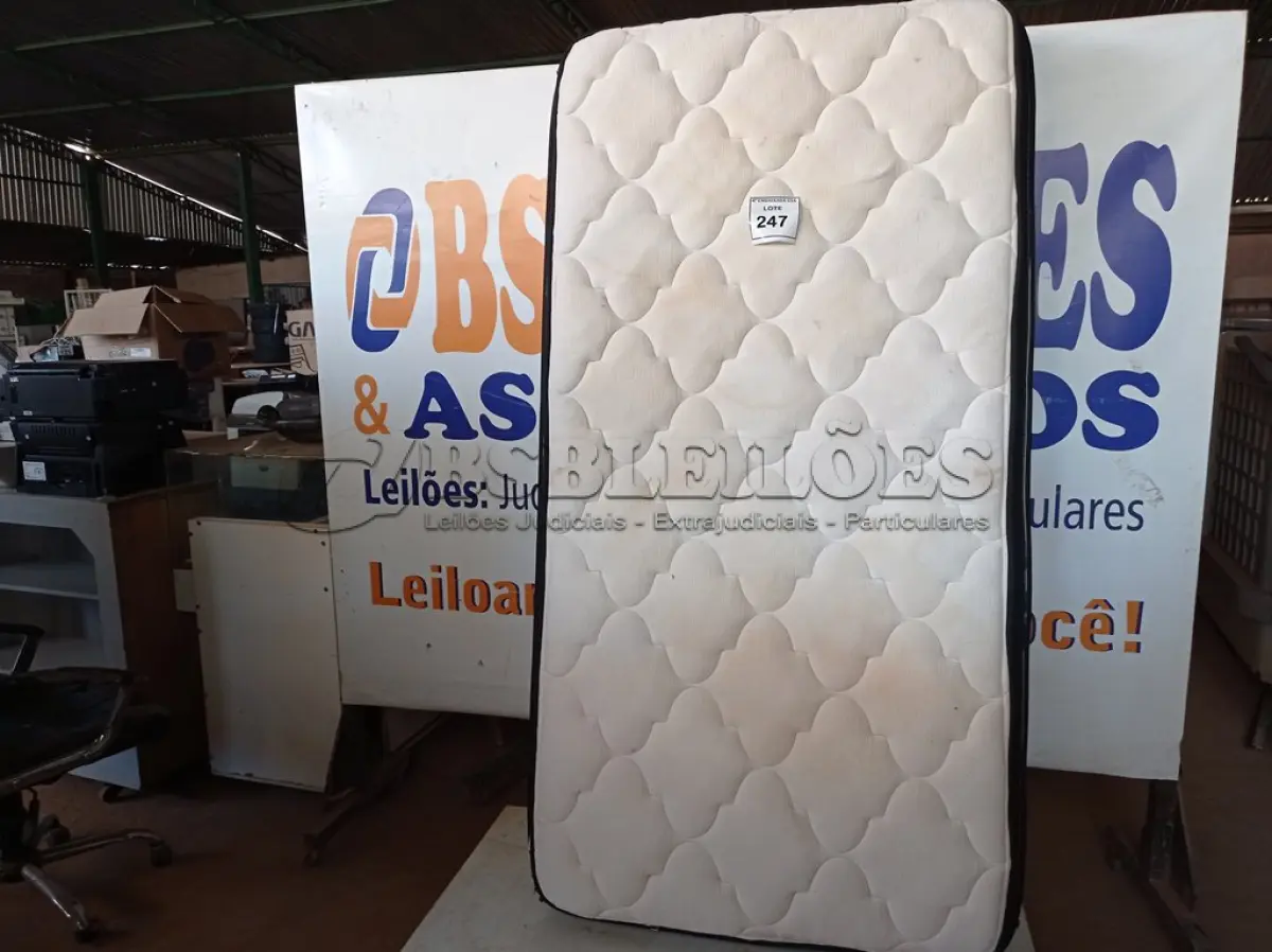 LOTE 247