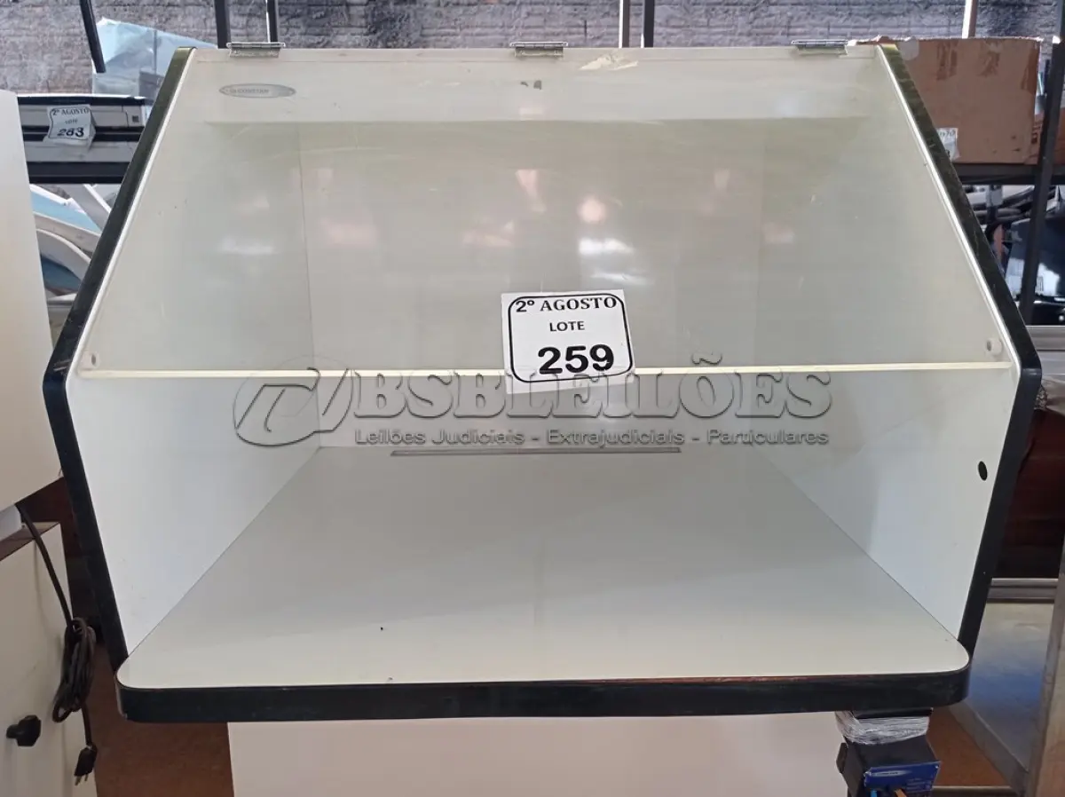 LOTE 259 - 01 CABINE ASSÉPTICA. (NO ESTADO) ATENÇÃO! FAZER A VISITAÇÃO ANTES DE ARREMATAR, NÃO SABEMOS SE FUNCIONA. LEILÃO NÃO TEM GARANTIA E NEM DEVOLUÇÃO, SUJEITO A POSSÍVEIS AVARIAS VISÍVEIS/OCULTAS E/OU AUSÊNCIA DE COMPONENTES.