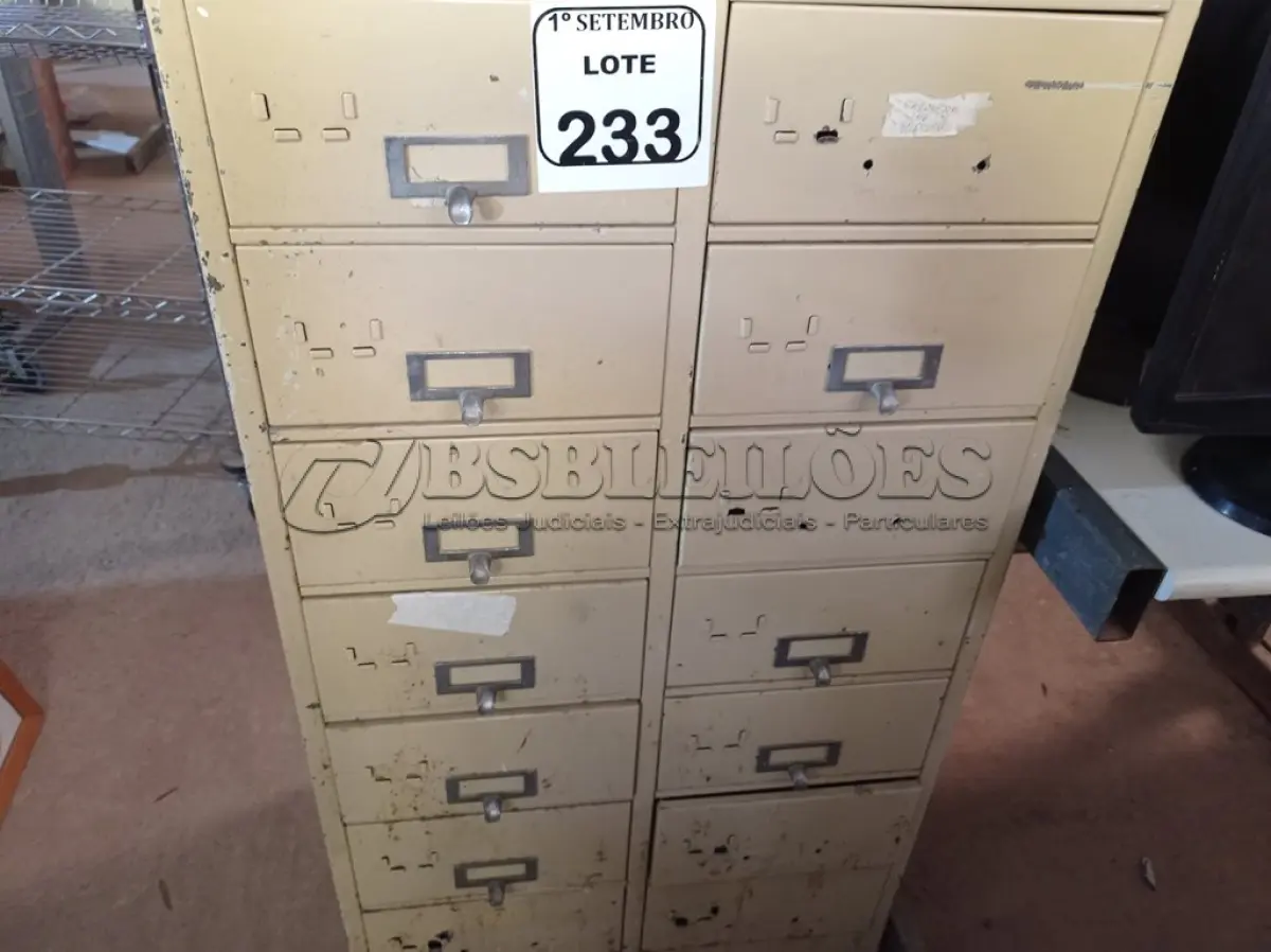 LOTE 233 - 01 FICHÁRIO COM 20 GAVETAS EM AÇO. (NO ESTADO) ATENÇÃO! FAZER A VISITAÇÃO ANTES DE ARREMATAR, NÃO SABEMOS SE FUNCIONA. LEILÃO NÃO TEM GARANTIA E NEM DEVOLUÇÃO, SUJEITO A POSSÍVEIS AVARIAS VISÍVEIS/OCULTAS E/OU AUSÊNCIA DE COMPONENTES.
