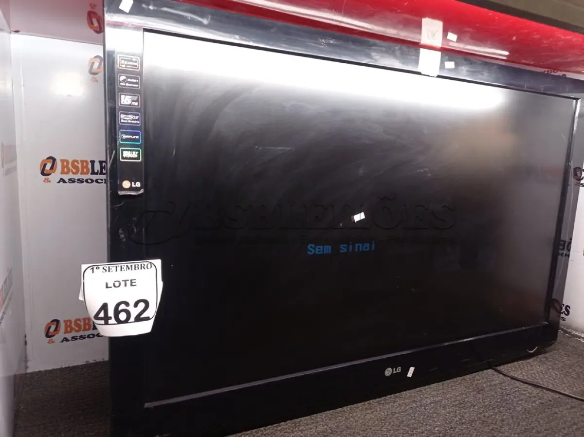 LOTE 462