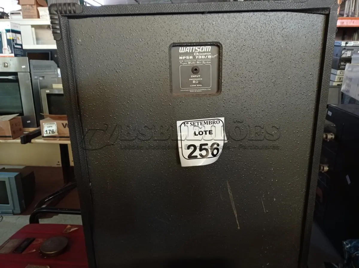 LOTE 256 - 01 CAIXA DE SOM WATTSOM MODELO NPSR 730/8. (NO ESTADO) ATENÇÃO! FAZER A VISITAÇÃO ANTES DE ARREMATAR, NÃO SABEMOS SE FUNCIONA. LEILÃO NÃO TEM GARANTIA E NEM DEVOLUÇÃO, SUJEITO A POSSÍVEIS AVARIAS VISÍVEIS/OCULTAS E/OU AUSÊNCIA DE COMPONENTES.