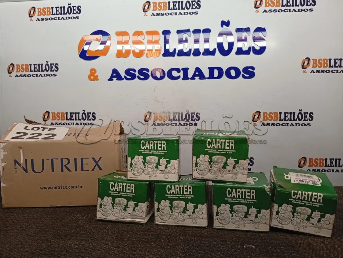 LOTE 222 - 06 - BOMBAS D'ÁGUA AUTOMOTIVAS (NO ESTADO, NÃO SABEMOS SE FUNCIONA. LEILÃO NÃO TEM GARANTIA E NEM DEVOLUÇÃO, SUJEITO A POSSÍVEIS AVARIAS VISÍVEIS/OCULTAS E/OU AUSÊNCIA DE COMPONENTES)