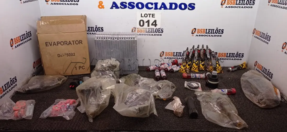 LOTE 014 - 30 – ITENS AUTOMOTIVOS DIVERSOS (NO ESTADO, NÃO SABEMOS SE FUNCIONA. LEILÃO NÃO TEM GARANTIA E NEM DEVOLUÇÃO, SUJEITO A POSSÍVEIS AVARIAS VISÍVEIS/OCULTAS E/OU AUSÊNCIA DE COMPONENTES)