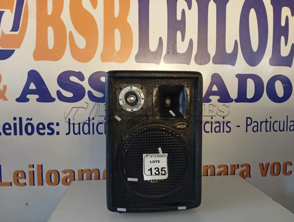 LOTE 135 - 01 CAIXA DE SOM PASSIVA MARCA WGK MODELO TW900. (NO ESTADO) ATENÇÃO! FAZER A VISITAÇÃO ANTES DE ARREMATAR, NÃO SABEMOS SE FUNCIONA. LEILÃO NÃO TEM GARANTIA E NEM DEVOLUÇÃO, SUJEITO A POSSÍVEIS AVARIAS VISÍVEIS/OCULTAS E/OU AUSÊNCIA DE COMPONENTES.