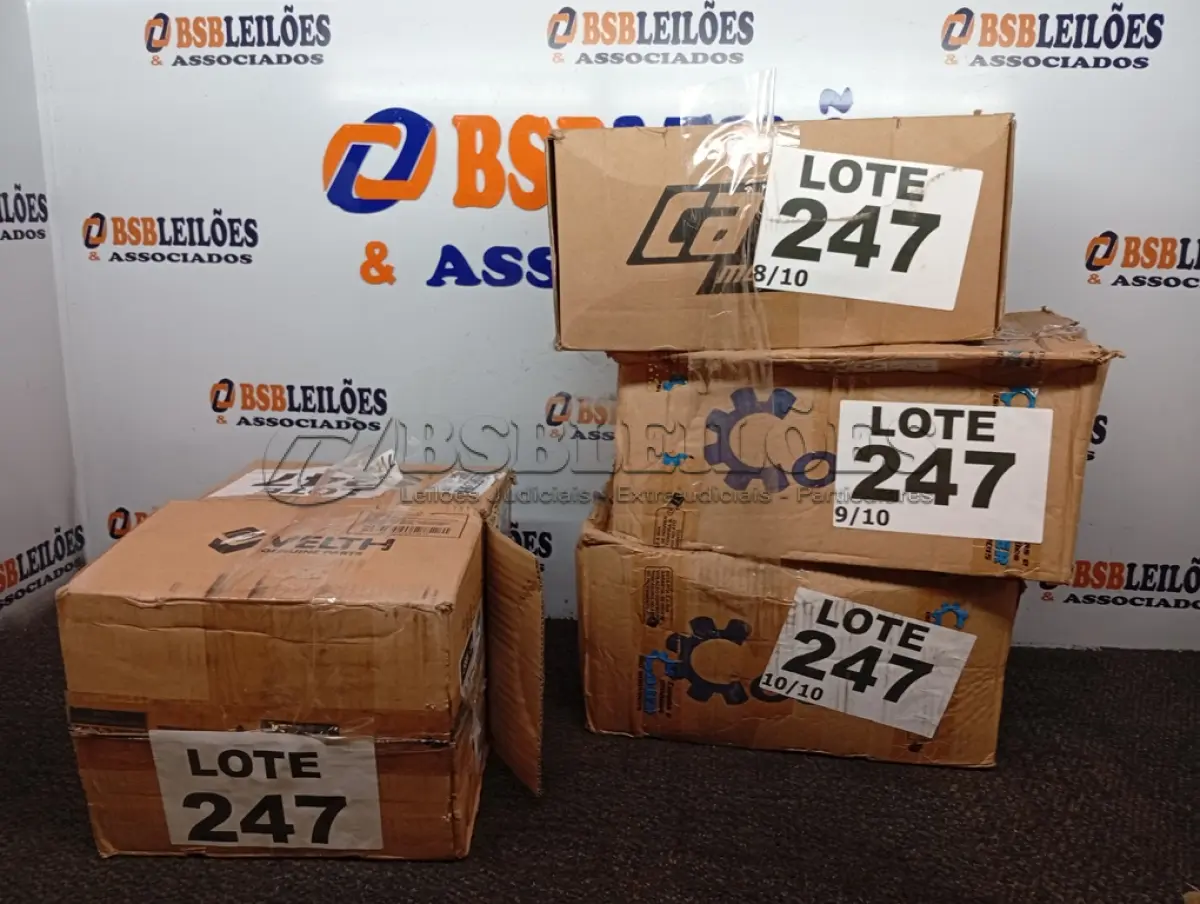 LOTE 247