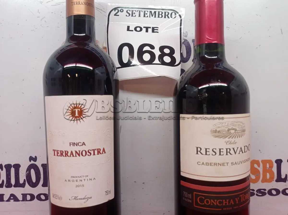 LOTE 068 - 01 GARRAFA DE VINHO FINCA TERRANOSTRA ARGENTINO 2015 750ML E 01 GARRAF DE CHILE RESERVADO CABERNET SAUVIGNON 750ML. (NO ESTADO) ATENÇÃO! FAZER A VISITAÇÃO ANTES DE ARREMATAR, NÃO SABEMOS SE FUNCIONA. LEILÃO NÃO TEM GARANTIA E NEM DEVOLUÇÃO, SUJEITO A POSSÍVEIS AVARIAS VISÍVEIS/OCULTAS E/OU AUSÊNCIA DE COMPONENTES.