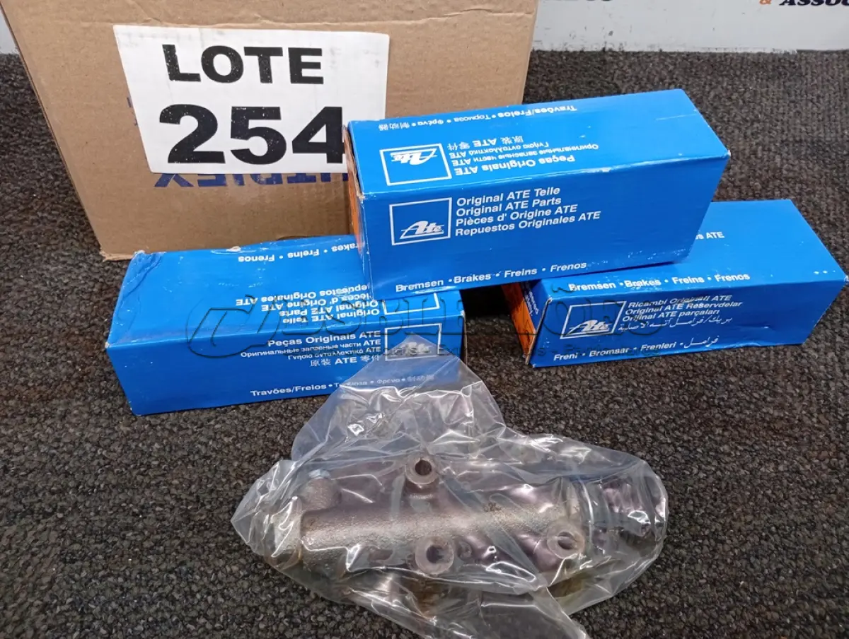 LOTE 254 - 09 - CILINDROS AUXILIAR DE EMBREAGEM 22MM MARCA ATE (NO ESTADO, NÃO SABEMOS SE FUNCIONA. LEILÃO NÃO TEM GARANTIA E NEM DEVOLUÇÃO, SUJEITO A POSSÍVEIS AVARIAS VISÍVEIS/OCULTAS E/OU AUSÊNCIA DE COMPONENTES)