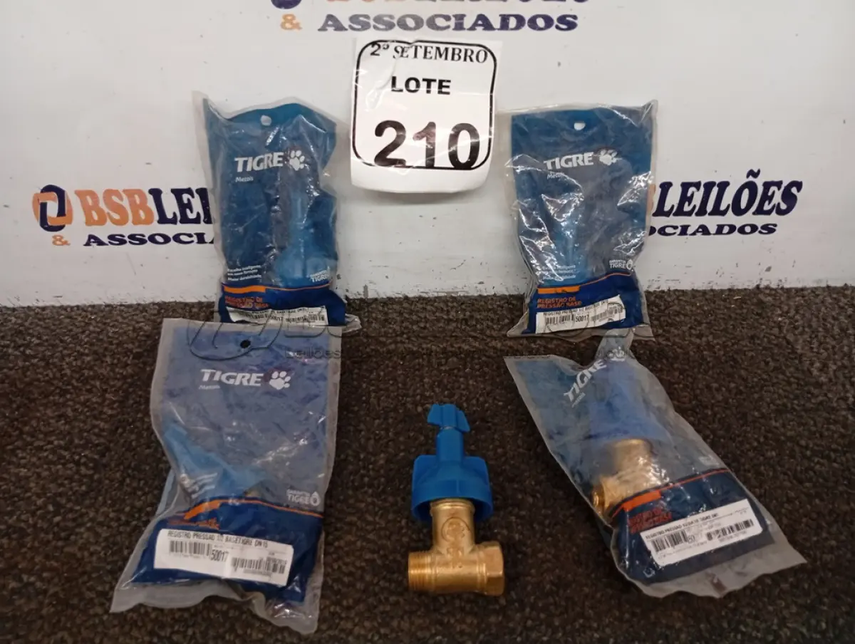 LOTE 210 - 05 BASES REGISTRO PRESSAO 1/2 TIGRE. (NO ESTADO) ATENÇÃO! FAZER A VISITAÇÃO ANTES DE ARREMATAR, NÃO SABEMOS SE FUNCIONA. LEILÃO NÃO TEM GARANTIA E NEM DEVOLUÇÃO, SUJEITO A POSSÍVEIS AVARIAS VISÍVEIS/OCULTAS E/OU AUSÊNCIA DE COMPONENTES.