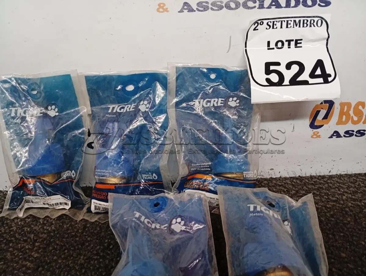 LOTE 524 - 07 BASES REGISTRO PRESSÃO 1/2 TIGRE. (NO ESTADO) ATENÇÃO! FAZER A VISITAÇÃO ANTES DE ARREMATAR, NÃO SABEMOS SE FUNCIONA. LEILÃO NÃO TEM GARANTIA E NEM DEVOLUÇÃO, SUJEITO A POSSÍVEIS AVARIAS VISÍVEIS/OCULTAS E/OU AUSÊNCIA DE COMPONENTES.