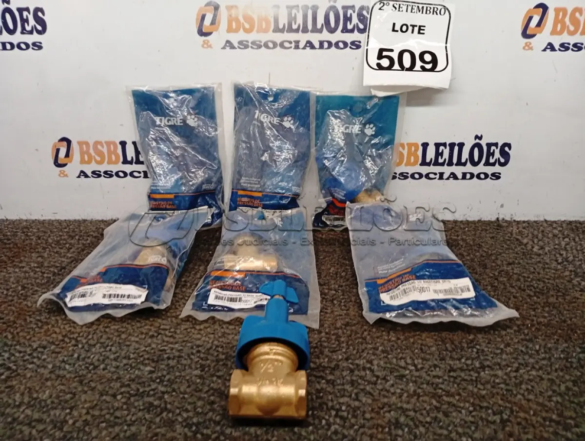 LOTE 509 - 07 BASES REGISTRO PRESSÃO 1/2 TIGRE. (NO ESTADO) ATENÇÃO! FAZER A VISITAÇÃO ANTES DE ARREMATAR, NÃO SABEMOS SE FUNCIONA. LEILÃO NÃO TEM GARANTIA E NEM DEVOLUÇÃO, SUJEITO A POSSÍVEIS AVARIAS VISÍVEIS/OCULTAS E/OU AUSÊNCIA DE COMPONENTES.