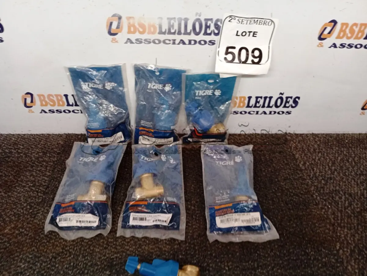 LOTE 509 - 07 BASES REGISTRO PRESSÃO 1/2 TIGRE. (NO ESTADO) ATENÇÃO! FAZER A VISITAÇÃO ANTES DE ARREMATAR, NÃO SABEMOS SE FUNCIONA. LEILÃO NÃO TEM GARANTIA E NEM DEVOLUÇÃO, SUJEITO A POSSÍVEIS AVARIAS VISÍVEIS/OCULTAS E/OU AUSÊNCIA DE COMPONENTES.