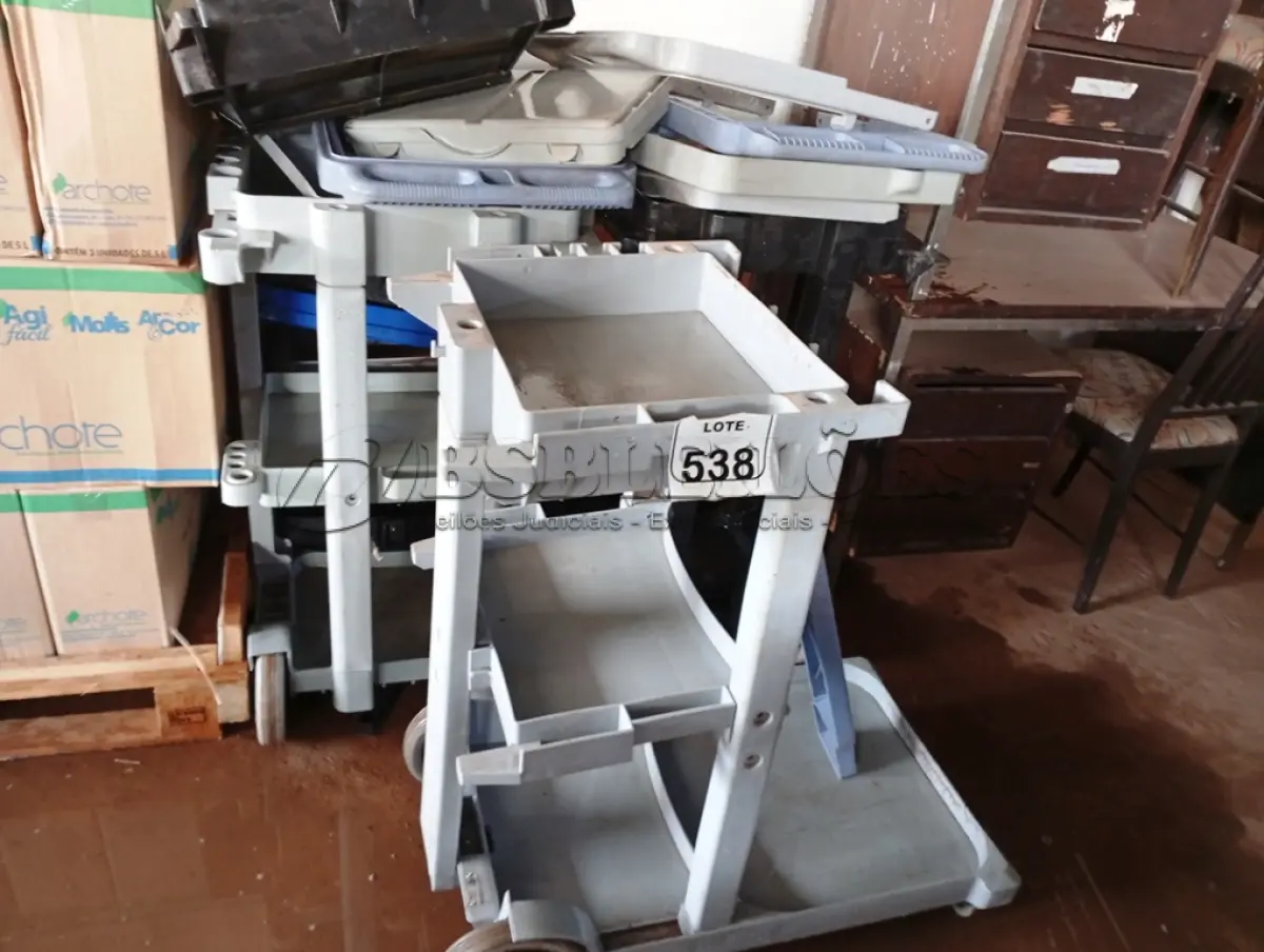 LOTE 538 - 03 CARRINHOS P/ LIMPEZA INCOMPLETOS. (NO ESTADO) ATENÇÃO! FAZER A VISITAÇÃO ANTES DE ARREMATAR, NÃO SABEMOS SE FUNCIONA. LEILÃO NÃO TEM GARANTIA E NEM DEVOLUÇÃO, SUJEITO A POSSÍVEIS AVARIAS VISÍVEIS/OCULTAS E/OU AUSÊNCIA DE COMPONENTES.
