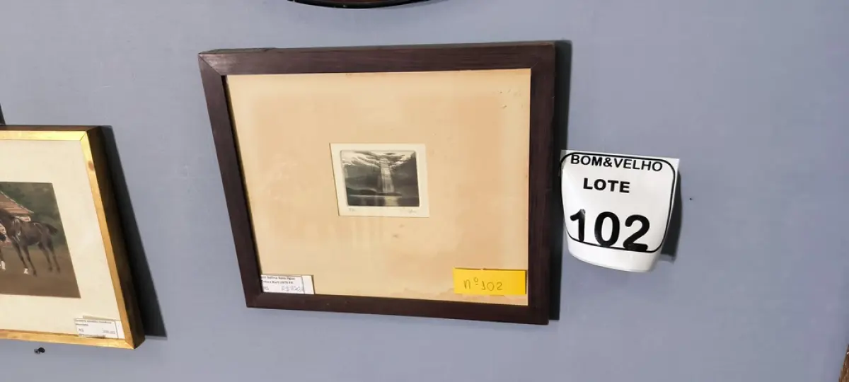 LOTE 102