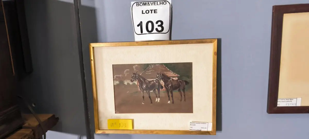 LOTE 103