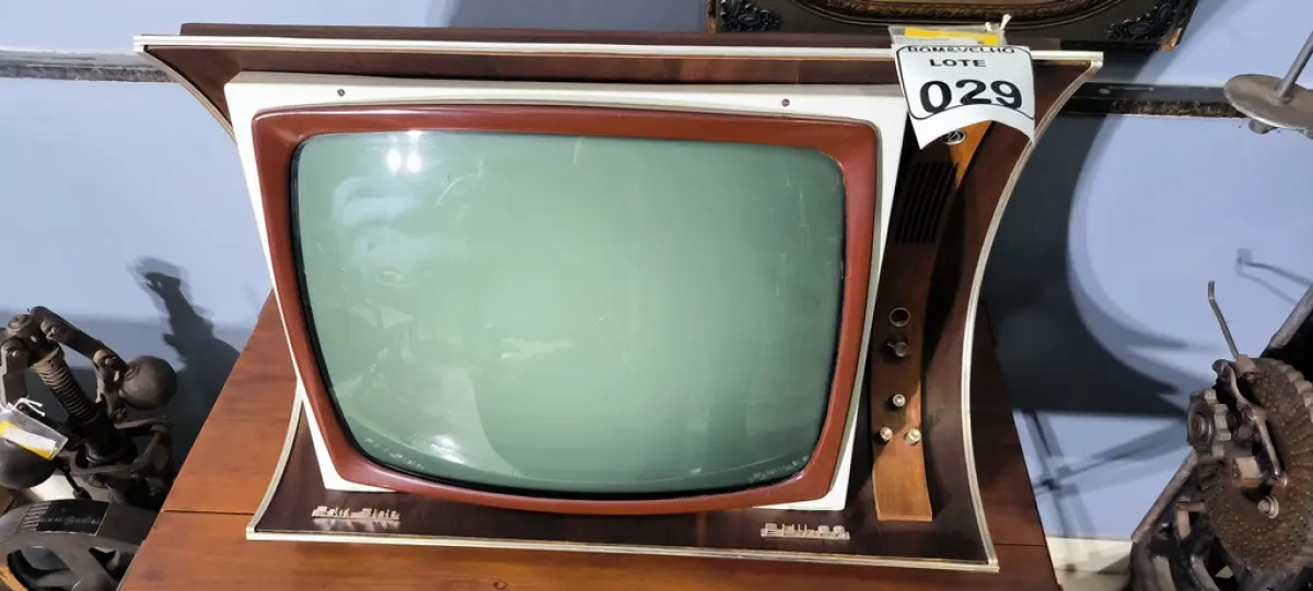 LOTE 029