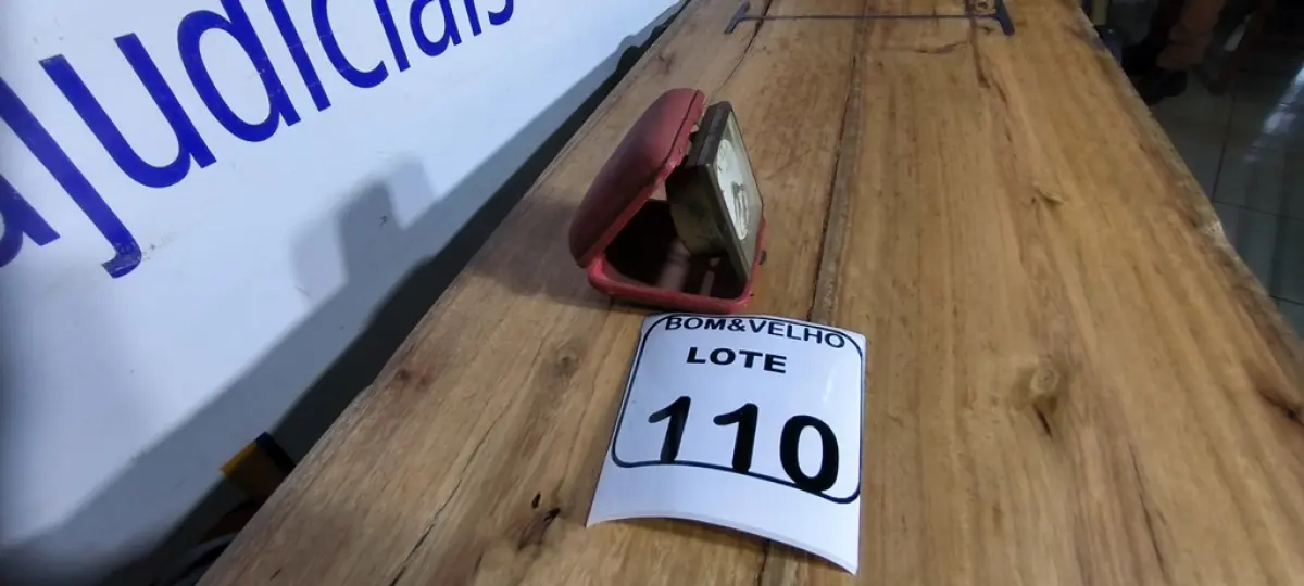 LOTE 110