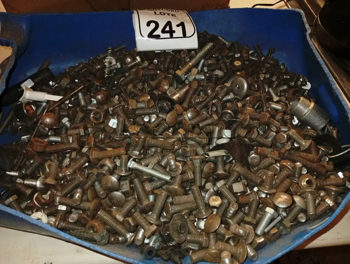LOTE 241 - 01 LOTE COM DIVERSOS PARAFUSOS, PORCAS E MATERIAIS DIVERSOS. (NO ESTADO) ATENÇÃO! FAZER A VISITAÇÃO ANTES DE ARREMATAR, NÃO SABEMOS SE FUNCIONA. LEILÃO NÃO TEM GARANTIA E NEM DEVOLUÇÃO, SUJEITO A POSSÍVEIS AVARIAS VISÍVEIS/OCULTAS E/OU AUSÊNCIA DE COMPONENTES.