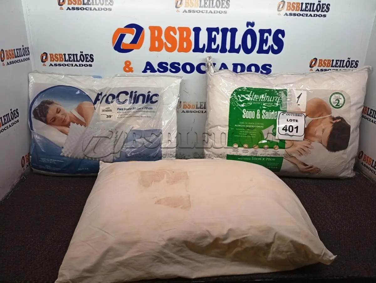LOTE 401 - 03 TRAVESSEIROS. (NO ESTADO) ATENÇÃO! FAZER A VISITAÇÃO ANTES DE ARREMATAR, NÃO SABEMOS SE FUNCIONA. LEILÃO NÃO TEM GARANTIA E NEM DEVOLUÇÃO, SUJEITO A POSSÍVEIS AVARIAS VISÍVEIS/OCULTAS E/OU AUSÊNCIA DE COMPONENTES.