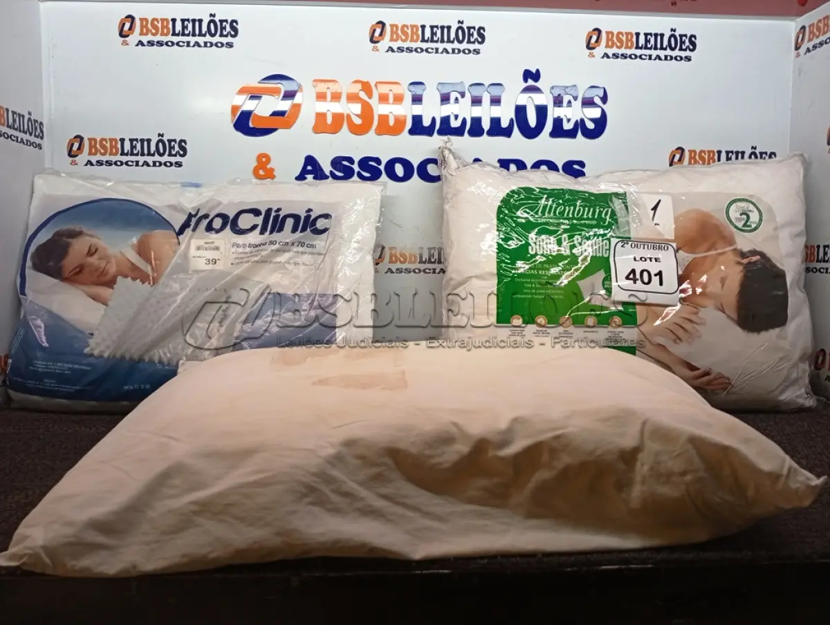 LOTE 401 - 03 TRAVESSEIROS. (NO ESTADO) ATENÇÃO! FAZER A VISITAÇÃO ANTES DE ARREMATAR, NÃO SABEMOS SE FUNCIONA. LEILÃO NÃO TEM GARANTIA E NEM DEVOLUÇÃO, SUJEITO A POSSÍVEIS AVARIAS VISÍVEIS/OCULTAS E/OU AUSÊNCIA DE COMPONENTES.