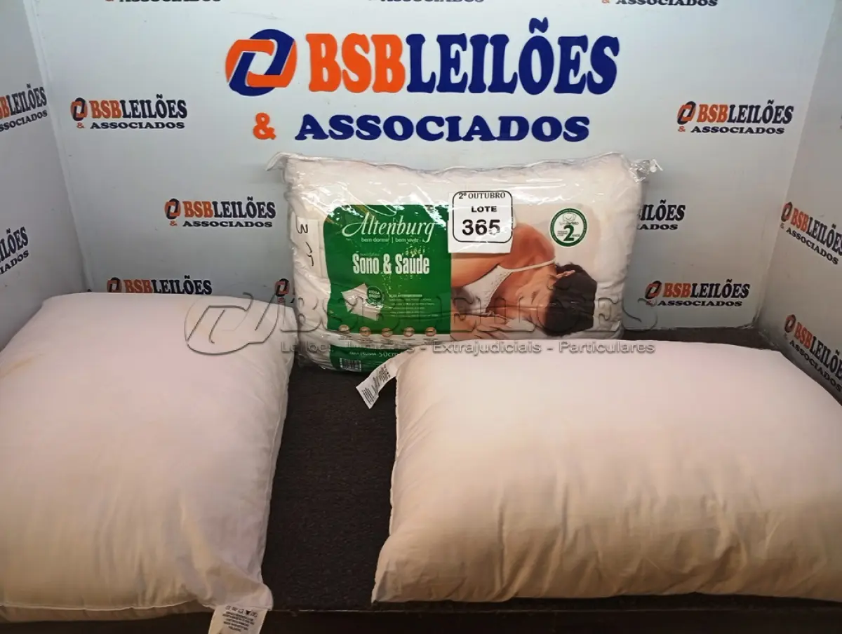 LOTE 365 - 03 TRAVESSEIROS. (NO ESTADO) ATENÇÃO! FAZER A VISITAÇÃO ANTES DE ARREMATAR, NÃO SABEMOS SE FUNCIONA. LEILÃO NÃO TEM GARANTIA E NEM DEVOLUÇÃO, SUJEITO A POSSÍVEIS AVARIAS VISÍVEIS/OCULTAS E/OU AUSÊNCIA DE COMPONENTES.