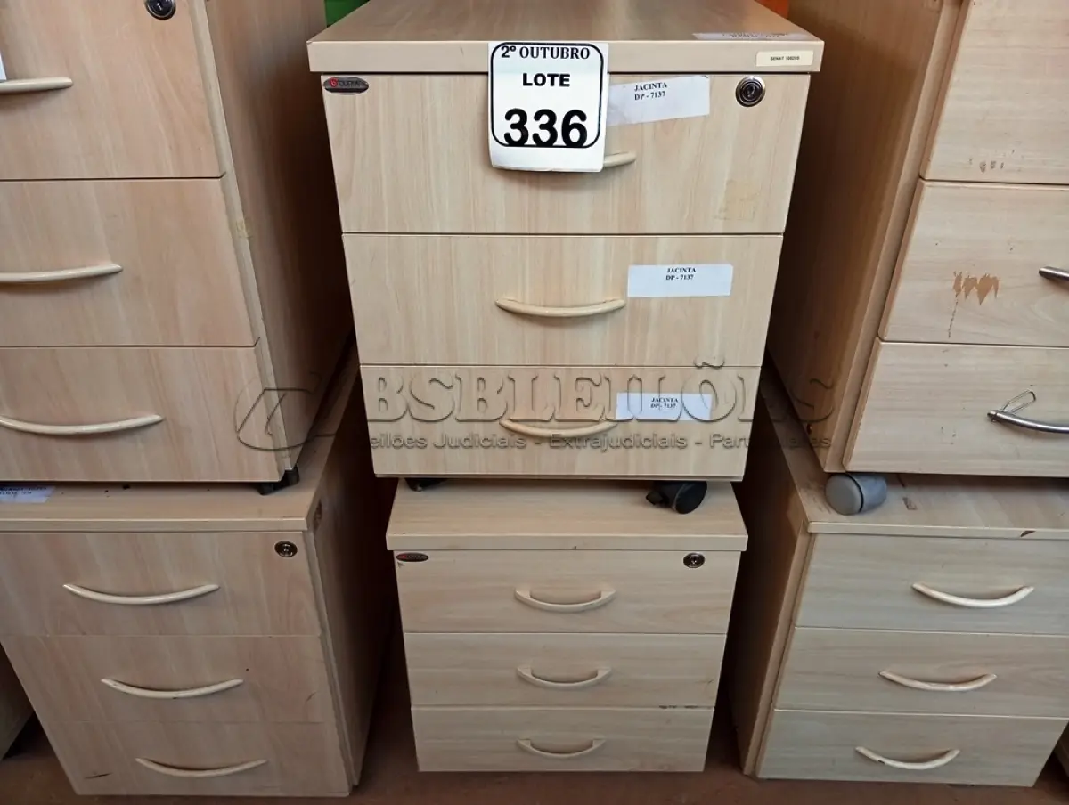 LOTE 336 - 02 GAVETEIROS COM 03 GAVETAS CADA. (NO ESTADO) ATENÇÃO! FAZER A VISITAÇÃO ANTES DE ARREMATAR, NÃO SABEMOS SE FUNCIONA. LEILÃO NÃO TEM GARANTIA E NEM DEVOLUÇÃO, SUJEITO A POSSÍVEIS AVARIAS VISÍVEIS/OCULTAS E/OU AUSÊNCIA DE COMPONENTES.