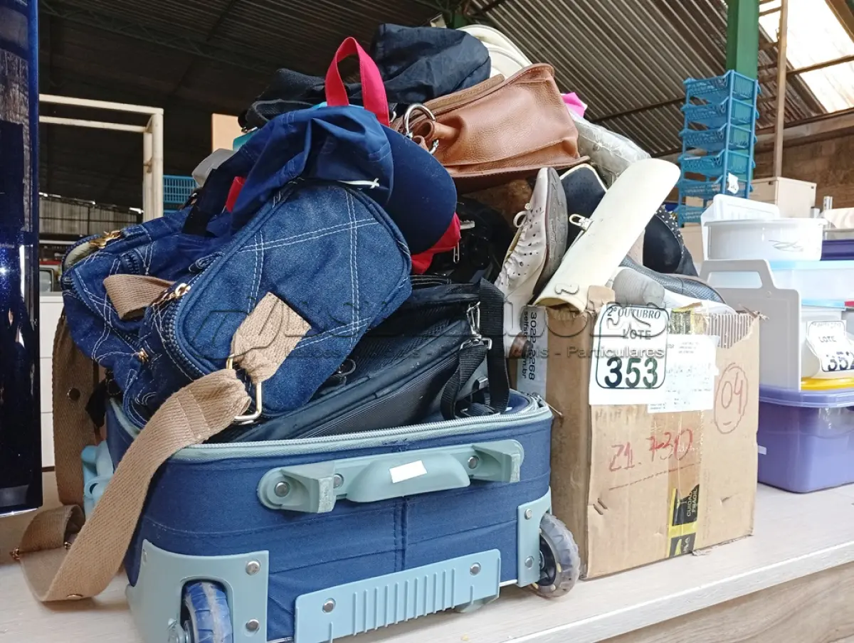 LOTE 353 - 01 LOTE C/DIVERSOS, SAPATOS E BOLSAS. (NO ESTADO) ATENÇÃO! FAZER A VISITAÇÃO ANTES DE ARREMATAR, NÃO SABEMOS SE FUNCIONA. LEILÃO NÃO TEM GARANTIA E NEM DEVOLUÇÃO, SUJEITO A POSSÍVEIS AVARIAS VISÍVEIS/OCULTAS E/OU AUSÊNCIA DE COMPONENTES.