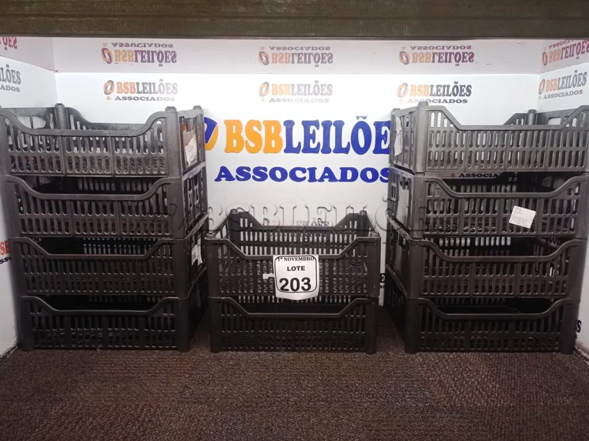 LOTE 203 - 10 CESTAS ORGANIZADORAS NA COR PRETA. (NO ESTADO) ATENÇÃO! FAZER A VISITAÇÃO ANTES DE ARREMATAR, NÃO SABEMOS SE FUNCIONA. LEILÃO NÃO TEM GARANTIA E NEM DEVOLUÇÃO, SUJEITO A POSSÍVEIS AVARIAS VISÍVEIS/OCULTAS E/OU AUSÊNCIA DE COMPONENTES.