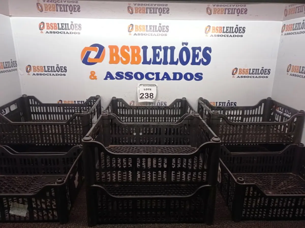 LOTE 238 - 10 CESTAS ORGANIZADORAS NA COR PRETA. (NO ESTADO) ATENÇÃO! FAZER A VISITAÇÃO ANTES DE ARREMATAR, NÃO SABEMOS SE FUNCIONA. LEILÃO NÃO TEM GARANTIA E NEM DEVOLUÇÃO, SUJEITO A POSSÍVEIS AVARIAS VISÍVEIS/OCULTAS E/OU AUSÊNCIA DE COMPONENTES.