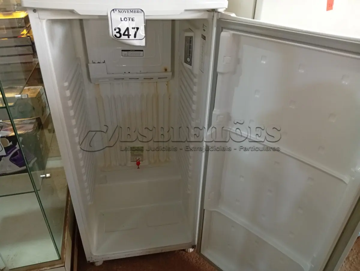 LOTE 347 - 01 GELADEIRA CONSUL 220V. (NO ESTADO) ATENÇÃO! FAZER A VISITAÇÃO ANTES DE ARREMATAR, NÃO SABEMOS SE FUNCIONA. LEILÃO NÃO TEM GARANTIA E NEM DEVOLUÇÃO, SUJEITO A POSSÍVEIS AVARIAS VISÍVEIS/OCULTAS E/OU AUSÊNCIA DE COMPONENTES.