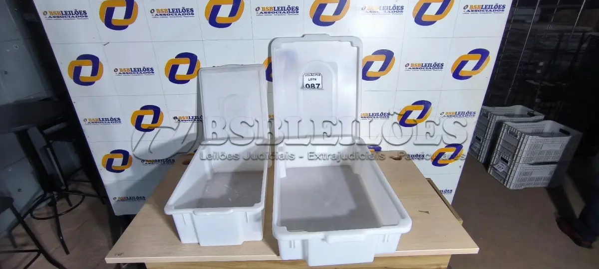 LOTE 087 - 02 CAIXAS ORGANIZADORAS EM PLÁSTICO TAMANHOS DIVERSOS. (NO ESTADO) ATENÇÃO! FAZER A VISITAÇÃO ANTES DE ARREMATAR, NÃO SABEMOS SE FUNCIONA. LEILÃO NÃO TEM GARANTIA E NEM DEVOLUÇÃO, SUJEITO A POSSÍVEIS AVARIAS VISÍVEIS/OCULTAS E/OU AUSÊNCIA DE COMPONENTES.