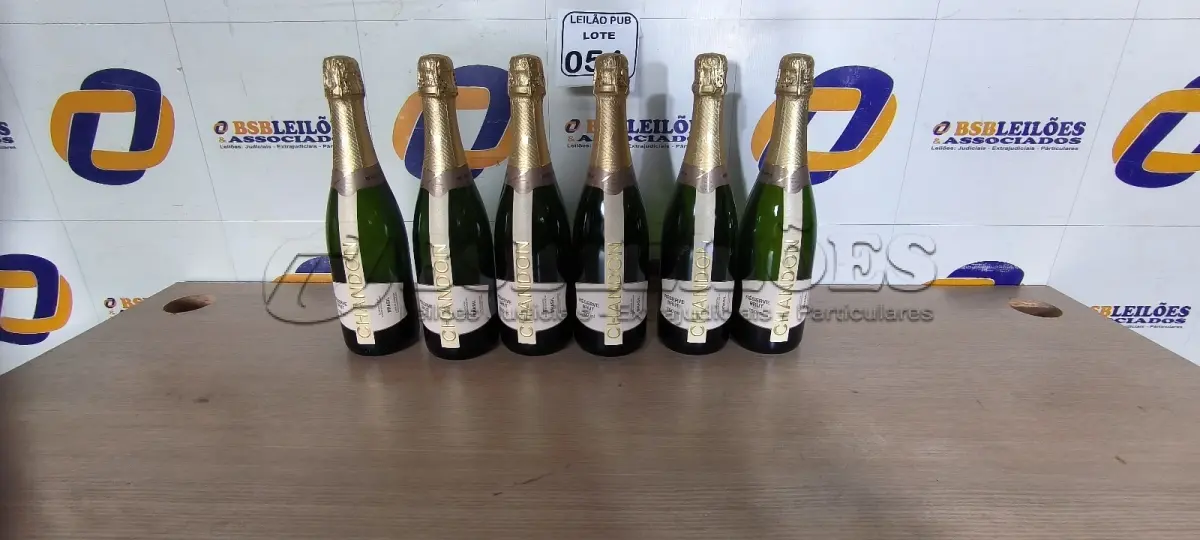LOTE 054 - 06 GARRAFAS DE CHANDON PARA DECORAÇÃO. (VAZIA) (NO ESTADO) ATENÇÃO! FAZER A VISITAÇÃO ANTES DE ARREMATAR, NÃO SABEMOS SE FUNCIONA. LEILÃO NÃO TEM GARANTIA E NEM DEVOLUÇÃO, SUJEITO A POSSÍVEIS AVARIAS VISÍVEIS/OCULTAS E/OU AUSÊNCIA DE COMPONENTES.