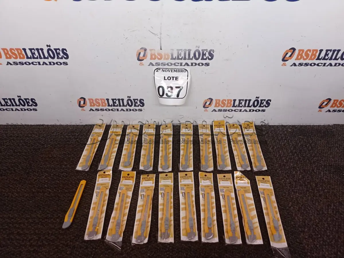 LOTE 037 - 20 ESTILETES MARCA EHC(NOVO). (NO ESTADO) ATENÇÃO! FAZER A VISITAÇÃO ANTES DE ARREMATAR, NÃO SABEMOS SE FUNCIONA. LEILÃO NÃO TEM GARANTIA E NEM DEVOLUÇÃO, SUJEITO A POSSÍVEIS AVARIAS VISÍVEIS/OCULTAS E/OU AUSÊNCIA DE COMPONENTES.