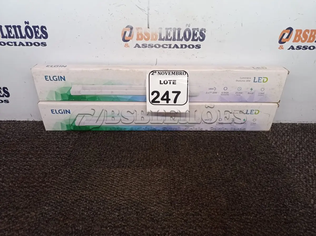 LOTE 247 - 02 LUMINÁRIAS DUOLED 18W MARCA ELGIN(NOVO). (NO ESTADO) ATENÇÃO! FAZER A VISITAÇÃO ANTES DE ARREMATAR, NÃO SABEMOS SE FUNCIONA. LEILÃO NÃO TEM GARANTIA E NEM DEVOLUÇÃO, SUJEITO A POSSÍVEIS AVARIAS VISÍVEIS/OCULTAS E/OU AUSÊNCIA DE COMPONENTES.