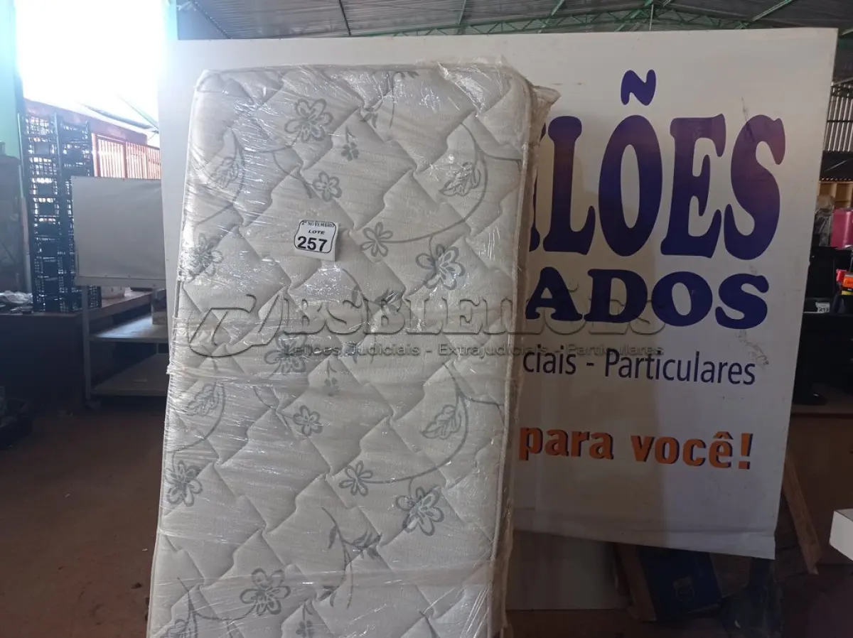 LOTE 257 - 01 CAMA BOX SOLTEIRO. (NO ESTADO) ATENÇÃO! FAZER A VISITAÇÃO ANTES DE ARREMATAR, NÃO SABEMOS SE FUNCIONA. LEILÃO NÃO TEM GARANTIA E NEM DEVOLUÇÃO, SUJEITO A POSSÍVEIS AVARIAS VISÍVEIS/OCULTAS E/OU AUSÊNCIA DE COMPONENTES.