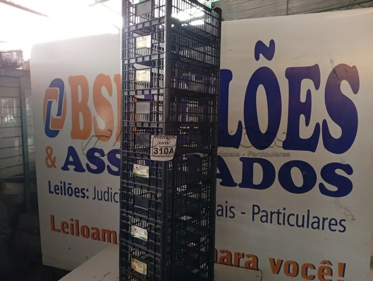 LOTE 310 - 10 CESTAS ORGANIZADORAS. (NO ESTADO) ATENÇÃO! FAZER A VISITAÇÃO ANTES DE ARREMATAR, NÃO SABEMOS SE FUNCIONA. LEILÃO NÃO TEM GARANTIA E NEM DEVOLUÇÃO, SUJEITO A POSSÍVEIS AVARIAS VISÍVEIS/OCULTAS E/OU AUSÊNCIA DE COMPONENTES.
