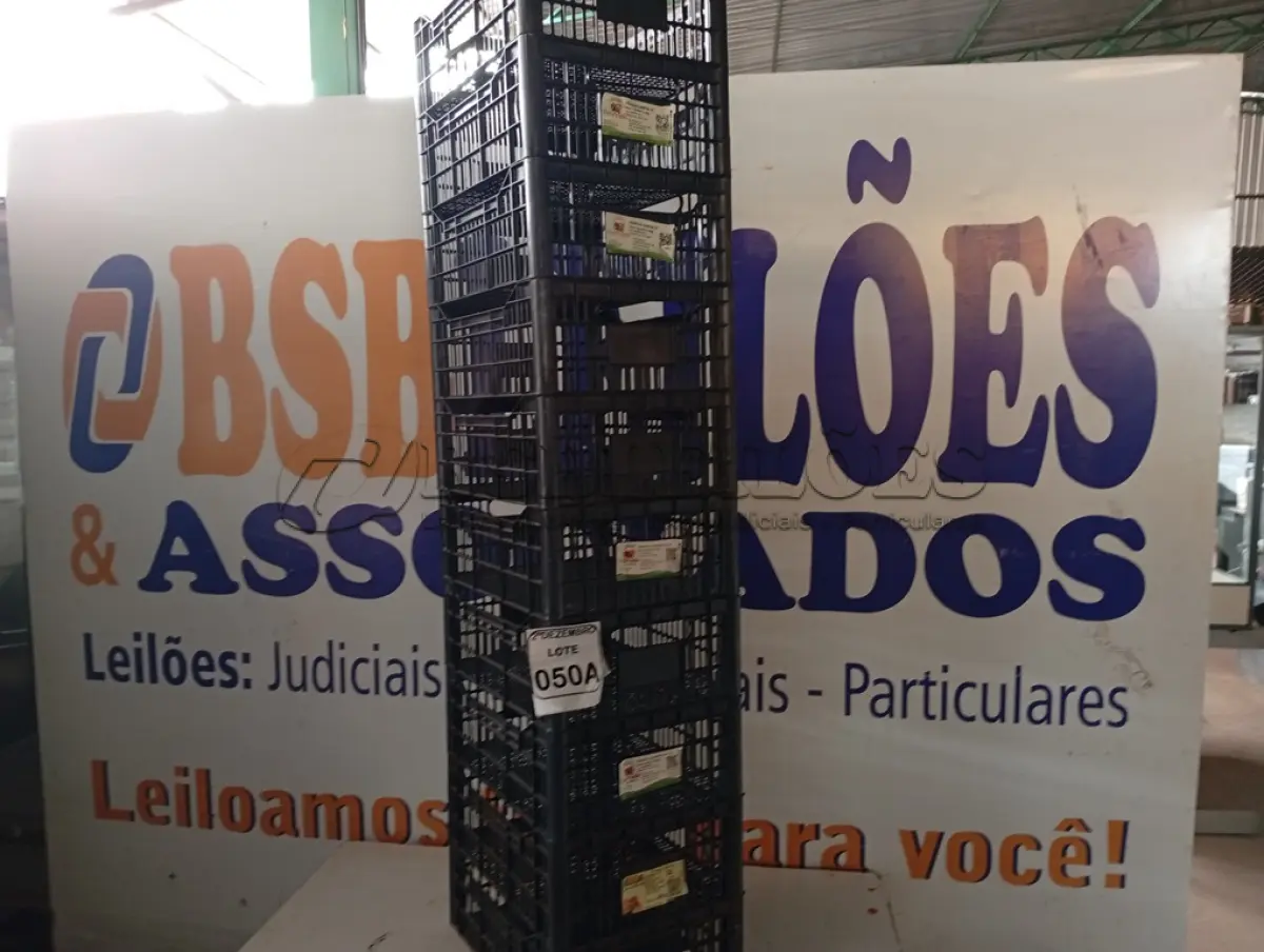 LOTE 050 - 10 CESTAS ORGANIZADORAS. (NO ESTADO) ATENÇÃO! FAZER A VISITAÇÃO ANTES DE ARREMATAR, NÃO SABEMOS SE FUNCIONA. LEILÃO NÃO TEM GARANTIA E NEM DEVOLUÇÃO, SUJEITO A POSSÍVEIS AVARIAS VISÍVEIS/OCULTAS E/OU AUSÊNCIA DE COMPONENTES.