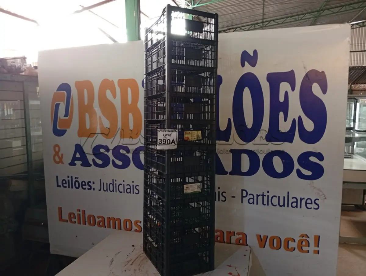 LOTE 370 - 10 CESTAS ORGANIZADORAS. (NO ESTADO) ATENÇÃO! FAZER A VISITAÇÃO ANTES DE ARREMATAR, NÃO SABEMOS SE FUNCIONA. LEILÃO NÃO TEM GARANTIA E NEM DEVOLUÇÃO, SUJEITO A POSSÍVEIS AVARIAS VISÍVEIS/OCULTAS E/OU AUSÊNCIA DE COMPONENTES.
