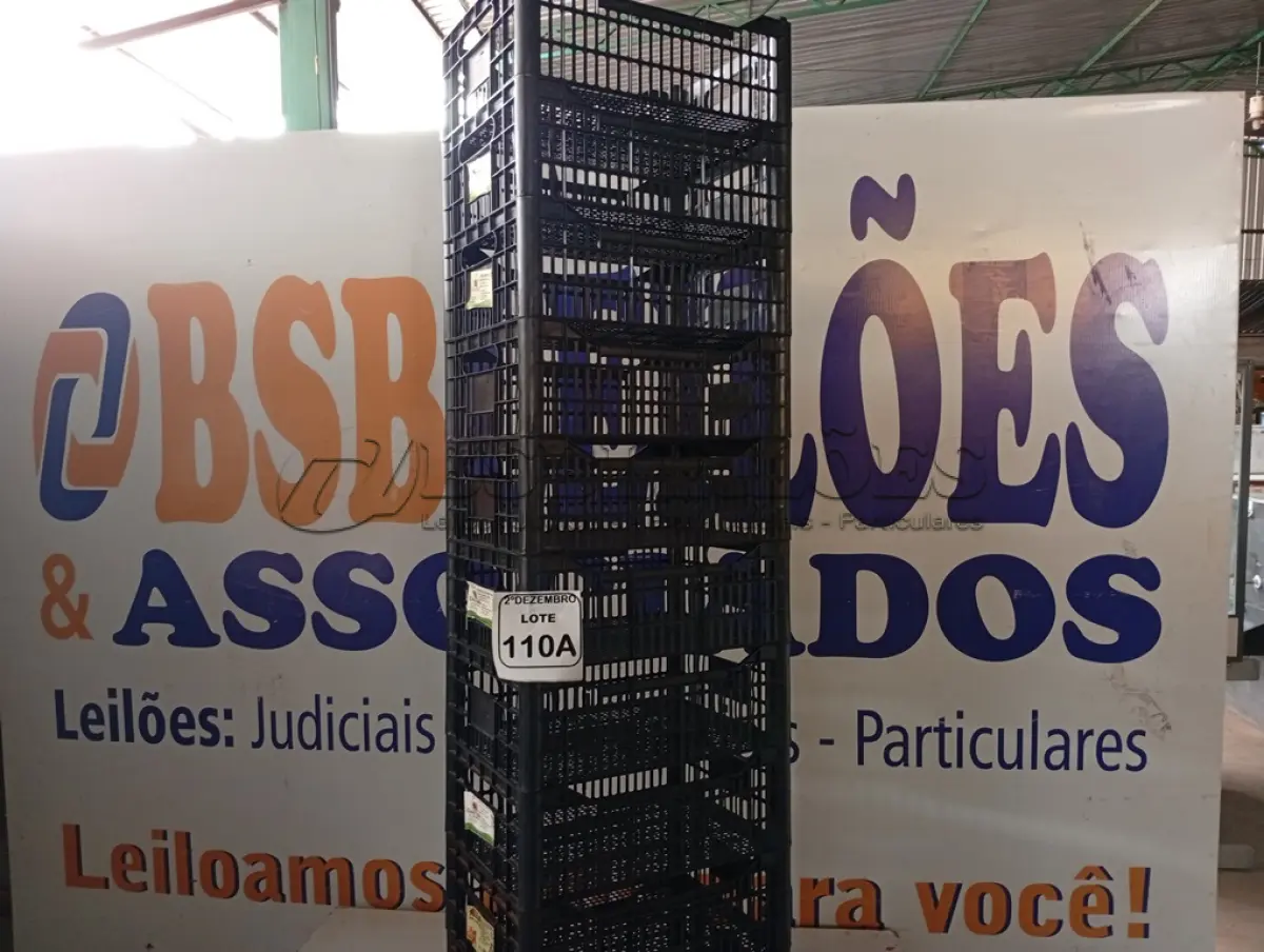 LOTE 110 - 10 CESTAS ORGANIZADORAS. (NO ESTADO) ATENÇÃO! FAZER A VISITAÇÃO ANTES DE ARREMATAR, NÃO SABEMOS SE FUNCIONA. LEILÃO NÃO TEM GARANTIA E NEM DEVOLUÇÃO, SUJEITO A POSSÍVEIS AVARIAS VISÍVEIS/OCULTAS E/OU AUSÊNCIA DE COMPONENTES.