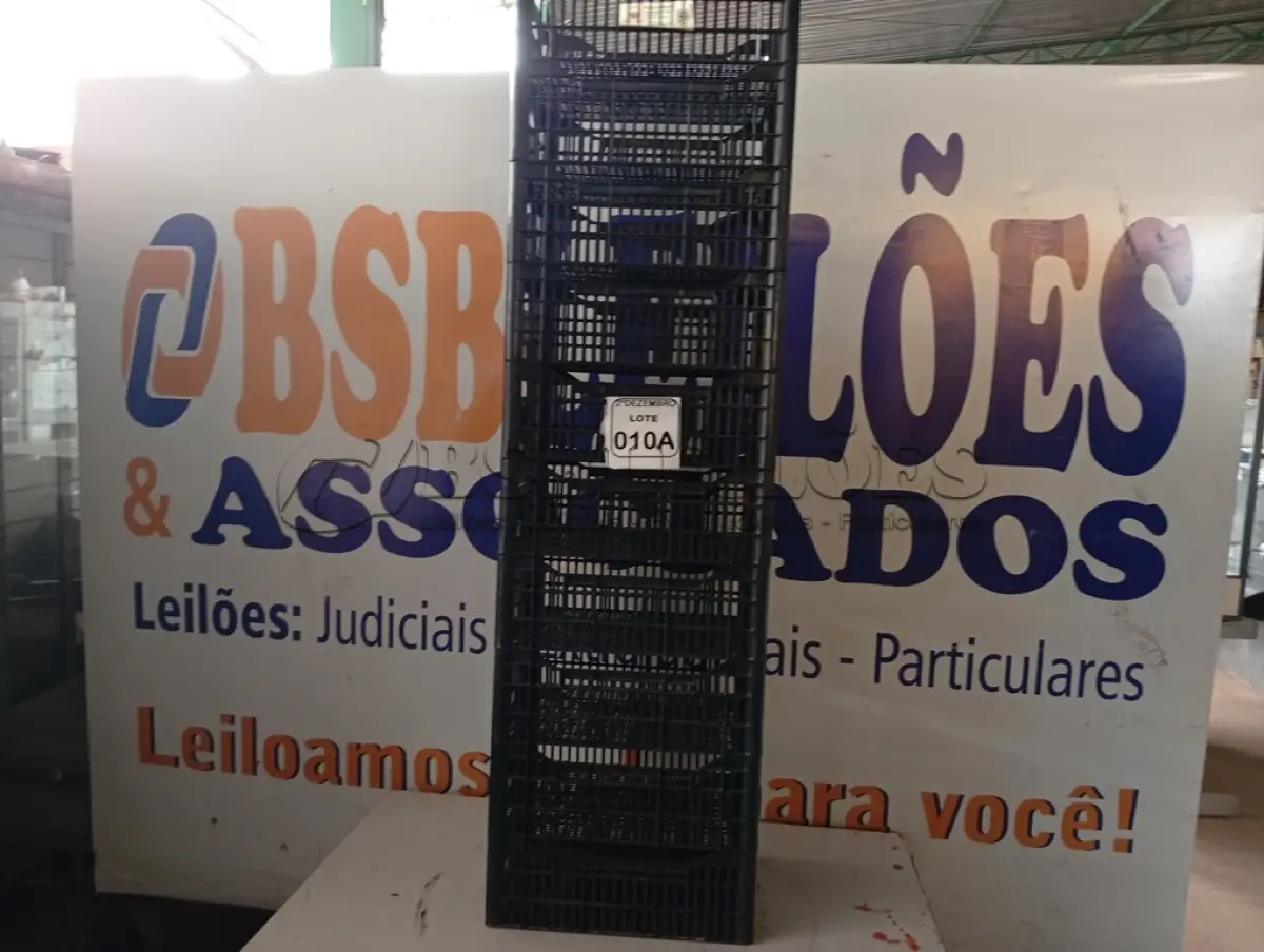 LOTE 010 - 10 CESTAS ORGANIZADORAS. (NO ESTADO) ATENÇÃO! FAZER A VISITAÇÃO ANTES DE ARREMATAR, NÃO SABEMOS SE FUNCIONA. LEILÃO NÃO TEM GARANTIA E NEM DEVOLUÇÃO, SUJEITO A POSSÍVEIS AVARIAS VISÍVEIS/OCULTAS E/OU AUSÊNCIA DE COMPONENTES.