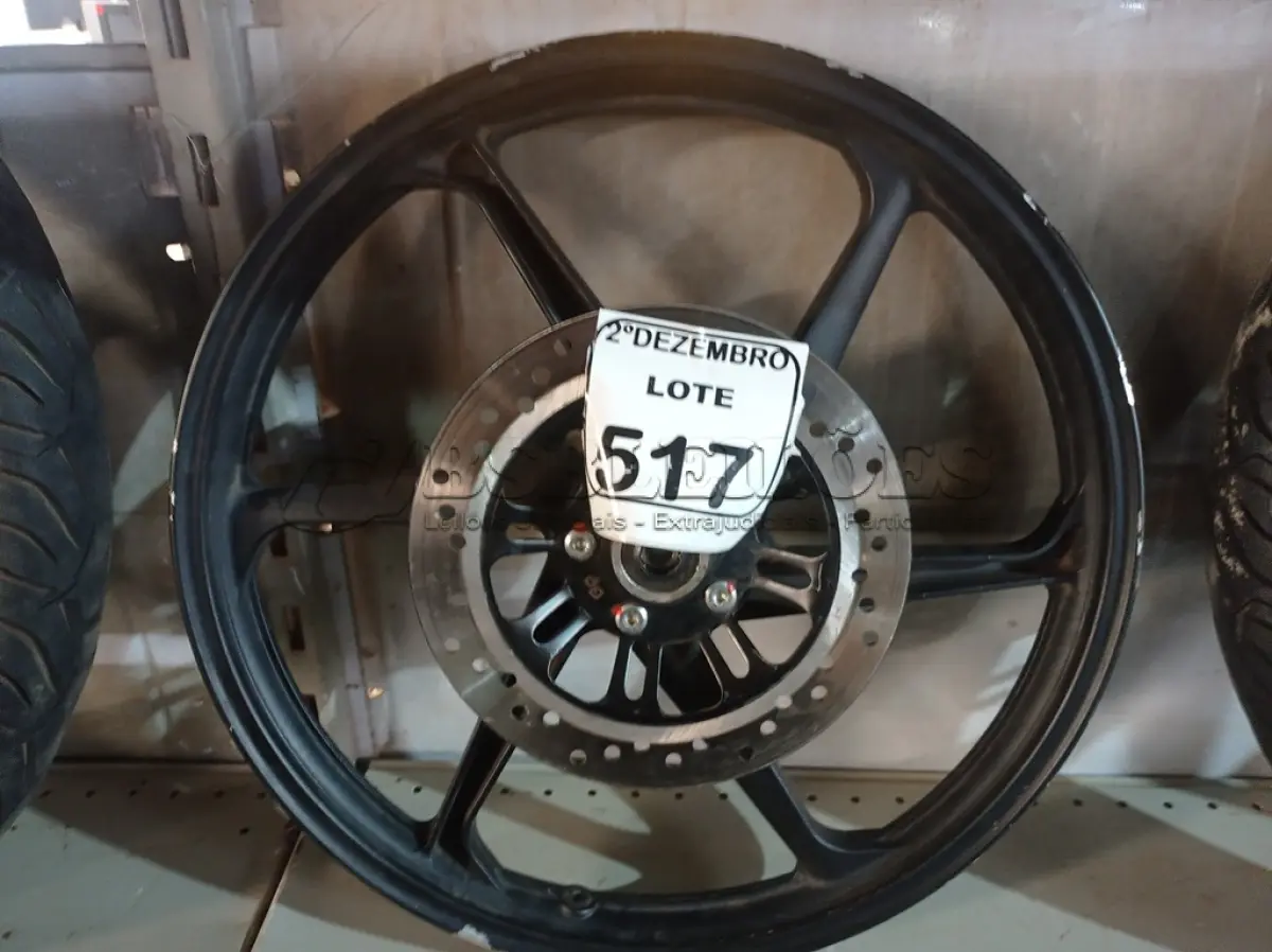 LOTE 517