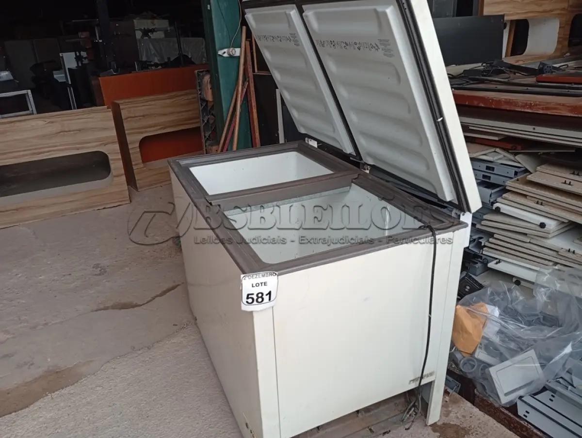 LOTE 581 - 01 FREEZER HORIZONTAL C/DUAS TAMPAS S/MOTOR MARCA CONSUL. (NO ESTADO) ATENÇÃO! FAZER A VISITAÇÃO ANTES DE ARREMATAR, NÃO SABEMOS SE FUNCIONA. LEILÃO NÃO TEM GARANTIA E NEM DEVOLUÇÃO, SUJEITO A POSSÍVEIS AVARIAS VISÍVEIS/OCULTAS E/OU AUSÊNCIA DE COMPONENTES.