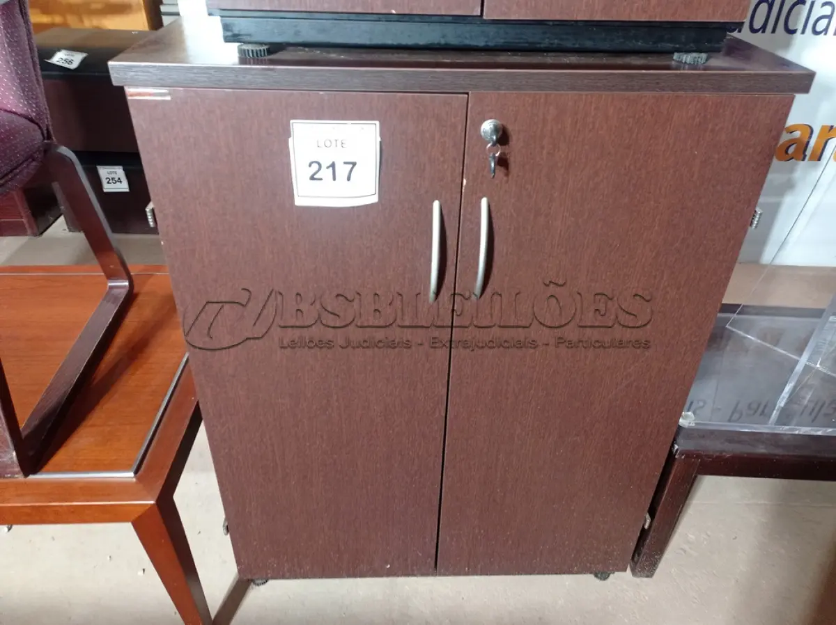 LOTE 217 - 01 ARMÁRIO MÉDIO EM MADEIRA C/ 02 PORTAS (MEDIUM WOODEN CABINET). (NO ESTADO EM QUE SE ENCONTRA. SUJEITO A AVARIAS OCULTAS/VISÍVEIS.)