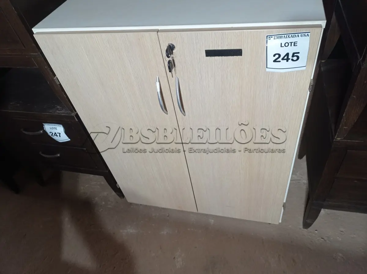 LOTE 245 - 01 GAVETEIRO (DRAWER). (NO ESTADO EM QUE SE ENCONTRA. SUJEITO A AVARIAS OCULTAS/VISÍVEIS.) AV2122H