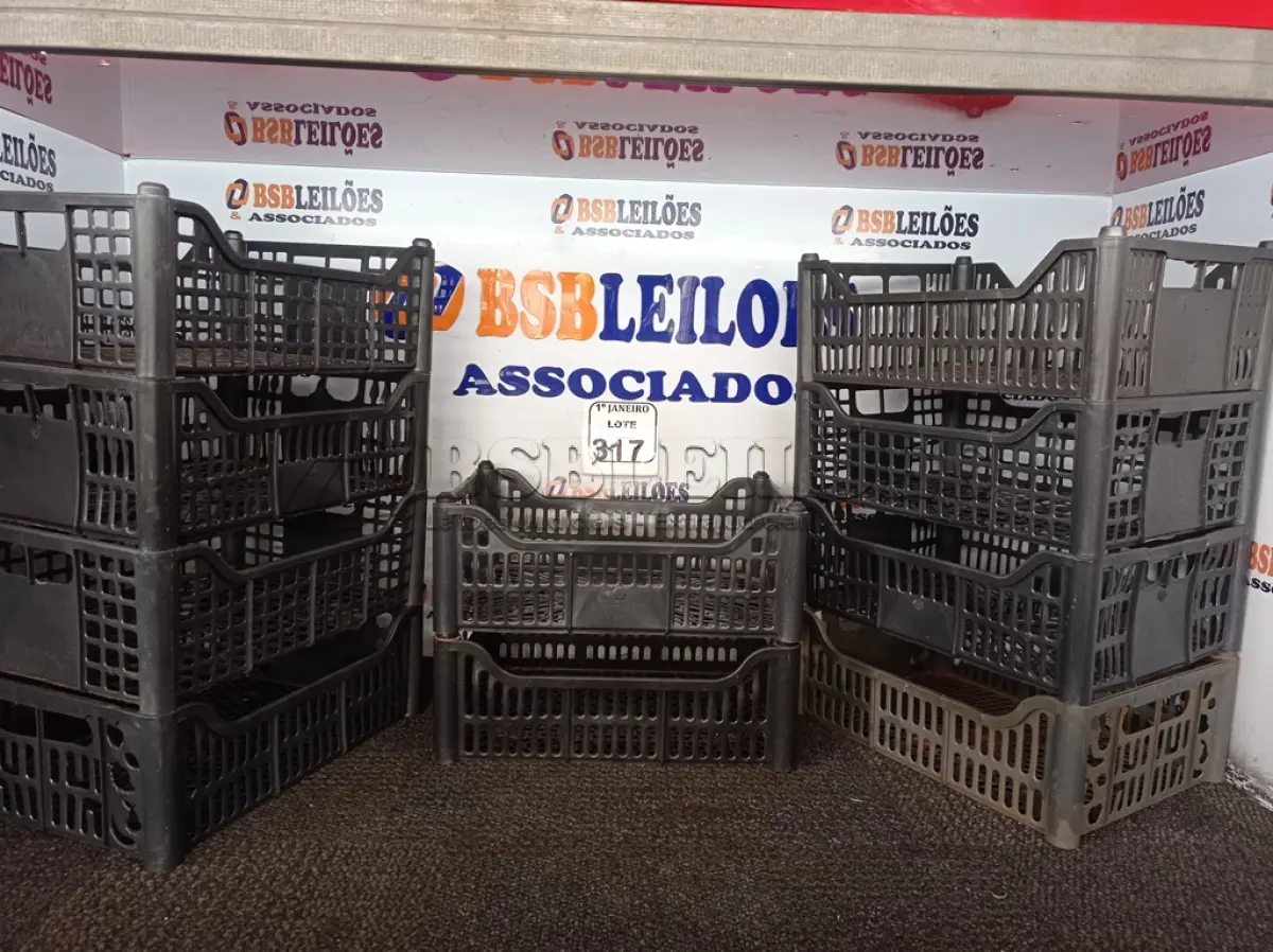 LOTE 317 - 10 CESTAS ORGANIZADORAS. (NO ESTADO) ATENÇÃO! FAZER A VISITAÇÃO ANTES DE ARREMATAR, NÃO SABEMOS SE FUNCIONA. LEILÃO NÃO TEM GARANTIA E NEM DEVOLUÇÃO, SUJEITO A POSSÍVEIS AVARIAS VISÍVEIS/OCULTAS E/OU AUSÊNCIA DE COMPONENTES.