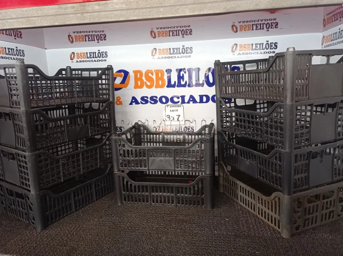 LOTE 317 - 10 CESTAS ORGANIZADORAS. (NO ESTADO) ATENÇÃO! FAZER A VISITAÇÃO ANTES DE ARREMATAR, NÃO SABEMOS SE FUNCIONA. LEILÃO NÃO TEM GARANTIA E NEM DEVOLUÇÃO, SUJEITO A POSSÍVEIS AVARIAS VISÍVEIS/OCULTAS E/OU AUSÊNCIA DE COMPONENTES.