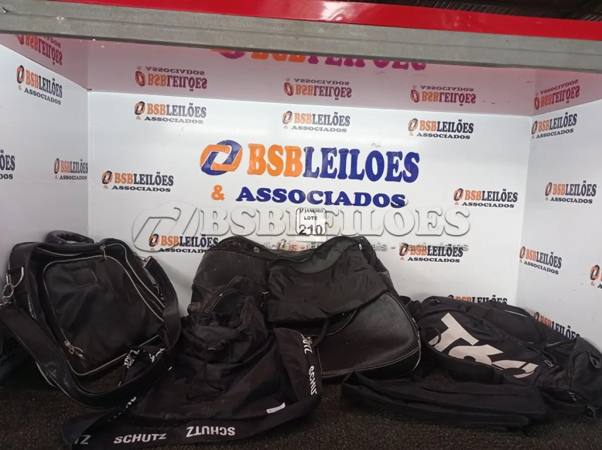 LOTE 210 - 01 LOTE C/VÁRIAS BOLSAS MODELOS DIVERSOS. (NO ESTADO) ATENÇÃO! FAZER A VISITAÇÃO ANTES DE ARREMATAR, NÃO SABEMOS SE FUNCIONA. LEILÃO NÃO TEM GARANTIA E NEM DEVOLUÇÃO, SUJEITO A POSSÍVEIS AVARIAS VISÍVEIS/OCULTAS E/OU AUSÊNCIA DE COMPONENTES.